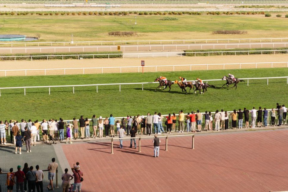 азартные эмоции при ставках на спорт